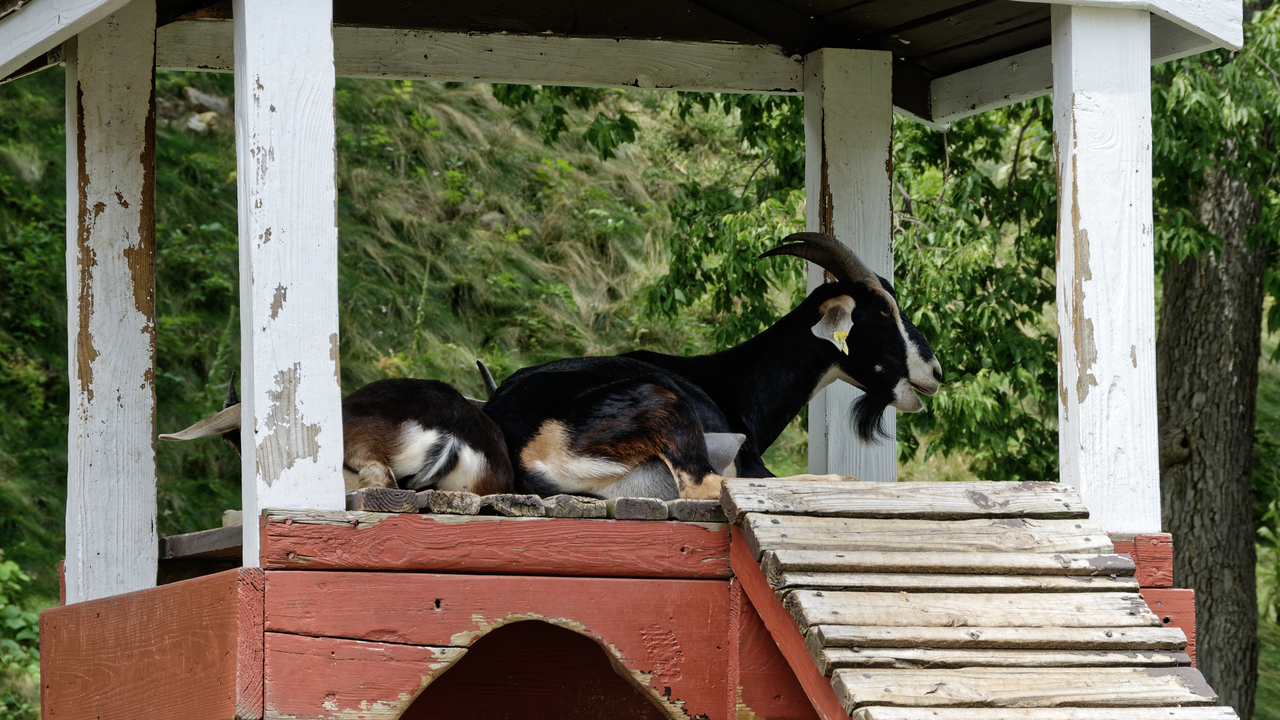 20190731-140059••North Mankato•Minnesota•USA